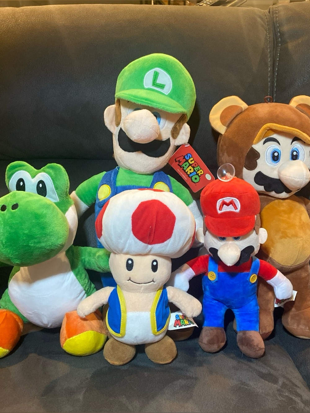 Nintendo Super Mario Plush Lot Luigi, Tanooki,  Yoshi, Toad, Mario, Lot Of 5